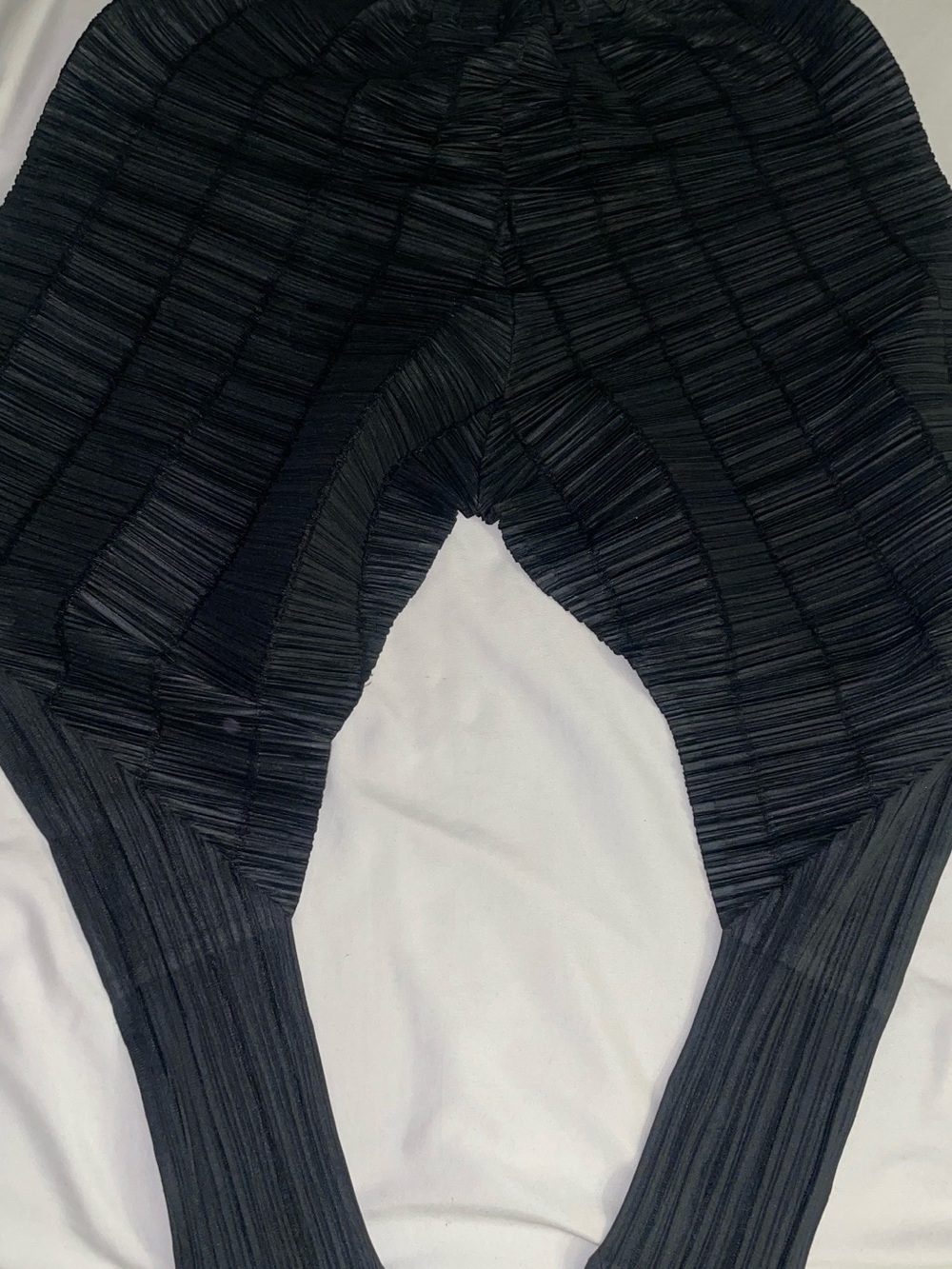 Issue Miyake Pleats Please Pants